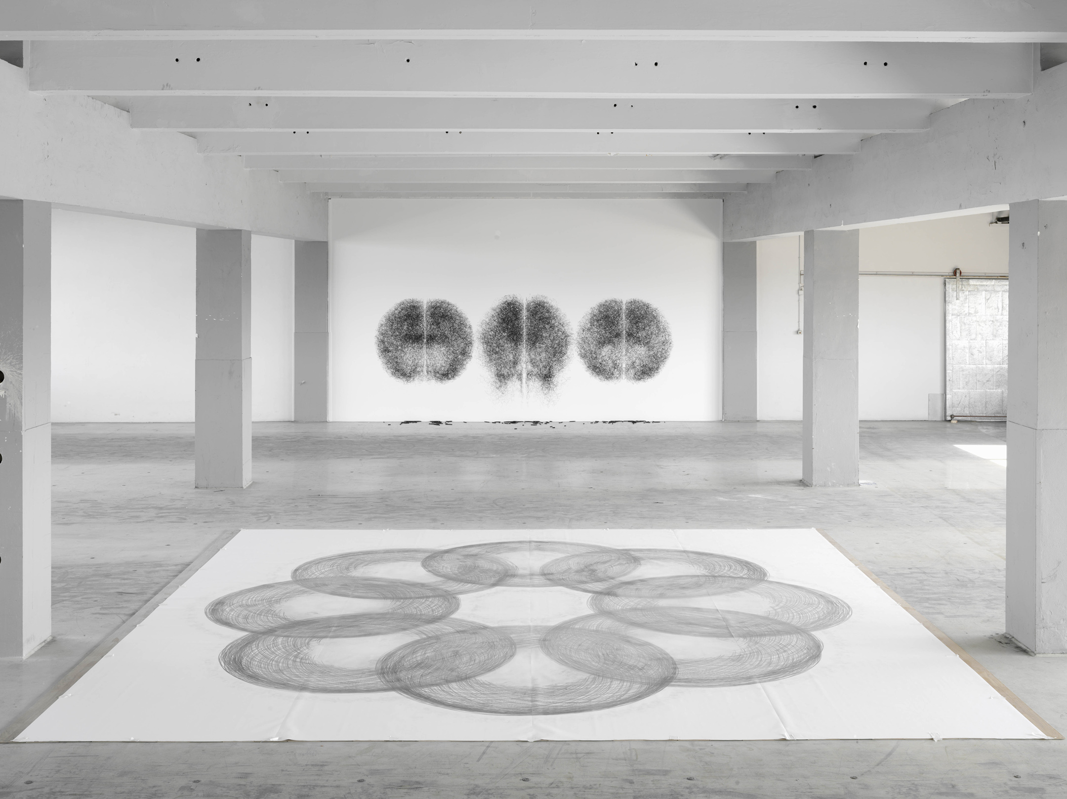 Tony Orrico – Penwald – Conceptual performance art